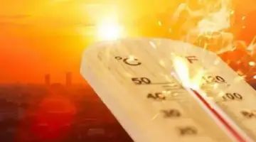 الأرصاد تكشف حالة طقس السبت 13 يونيو 2026.. حرارة مرتفعة وشبورة مائية – نمبر١ نيوز